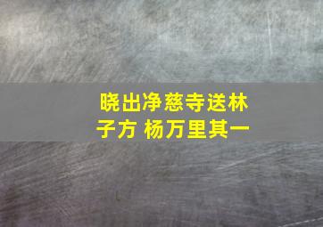 晓出净慈寺送林子方 杨万里其一